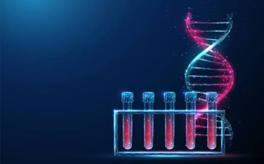 Nordic DNA Test .