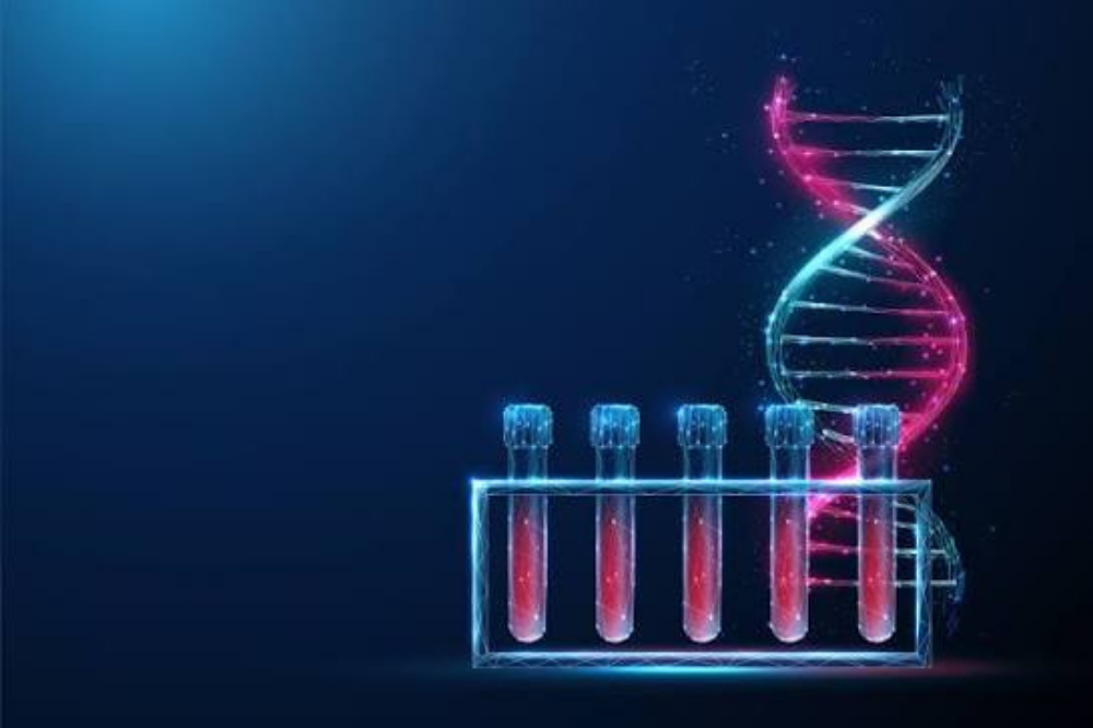 Nordic DNA Test .